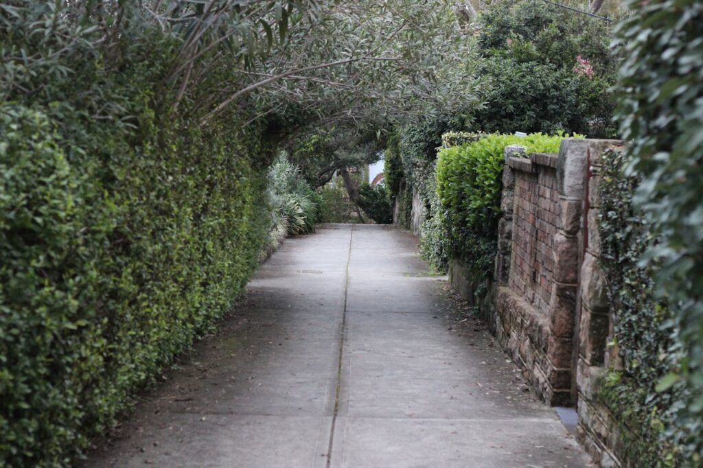 De beste momenten om een beukenhaag te snoeien voor een gezonde haag