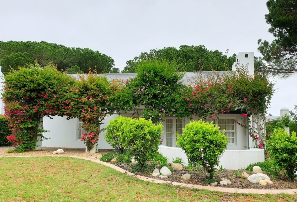 Wat kost een tuin aanleggen: overzicht van keuzes en prijzen