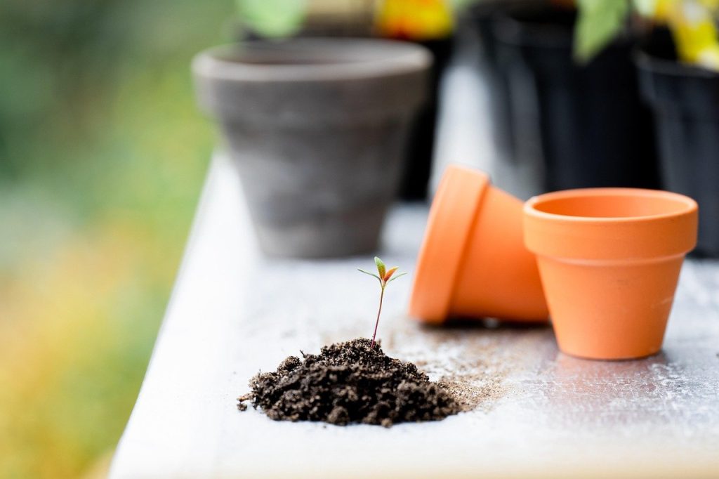 Groen op lastige plekken: zo combineer je echte planten met kunstgroen