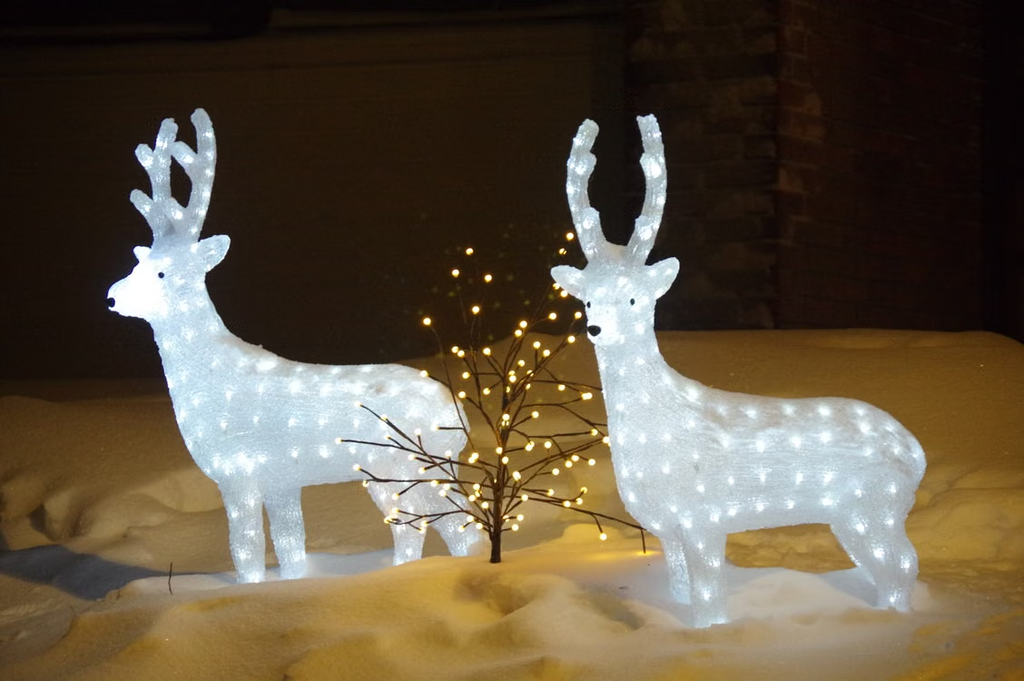 Kerstverlichting in de voortuin: sfeervol thuiskomen in december